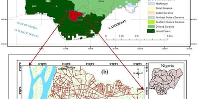 Mapa de nigeria mostrando los cinturones de vegetación